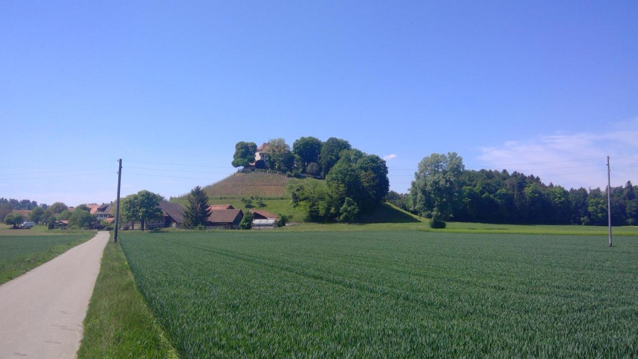 Bed And Breakfast 24 Stein Am Rhein Exterior foto